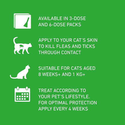 FRONTLINE Plus Flea & Tick Treatment for Cats & Ferrets – 6 Pipettes