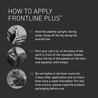 FRONTLINE Plus Flea & Tick Treatment for Cats & Ferrets – 6 Pipettes