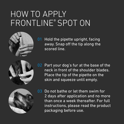 FRONTLINE Spot On Flea & Tick Treatment for Cats – 6 Pipettes